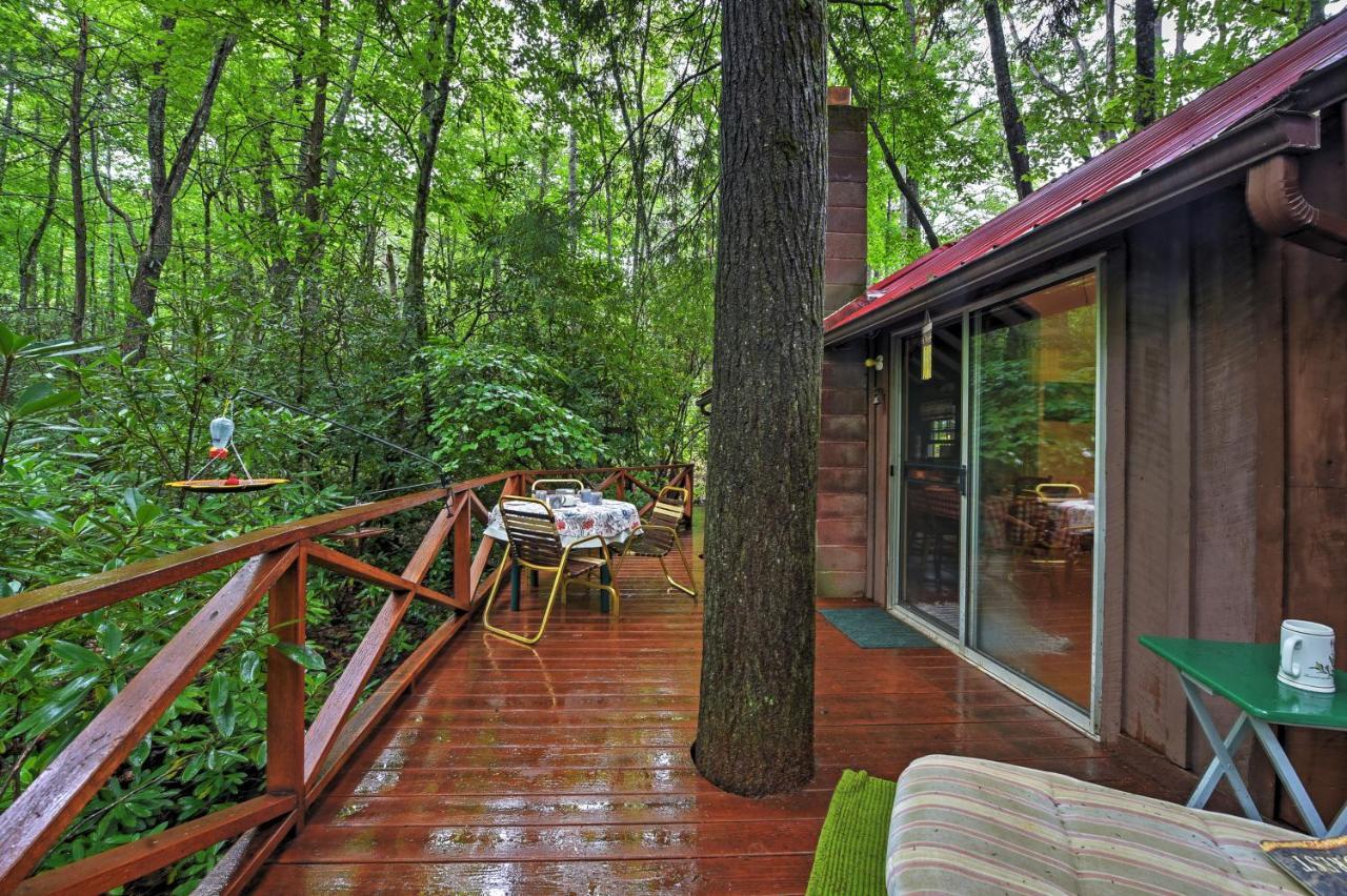 Serene Creekside Cottage Near Asheville Fire Pit Candler Zewnętrze zdjęcie